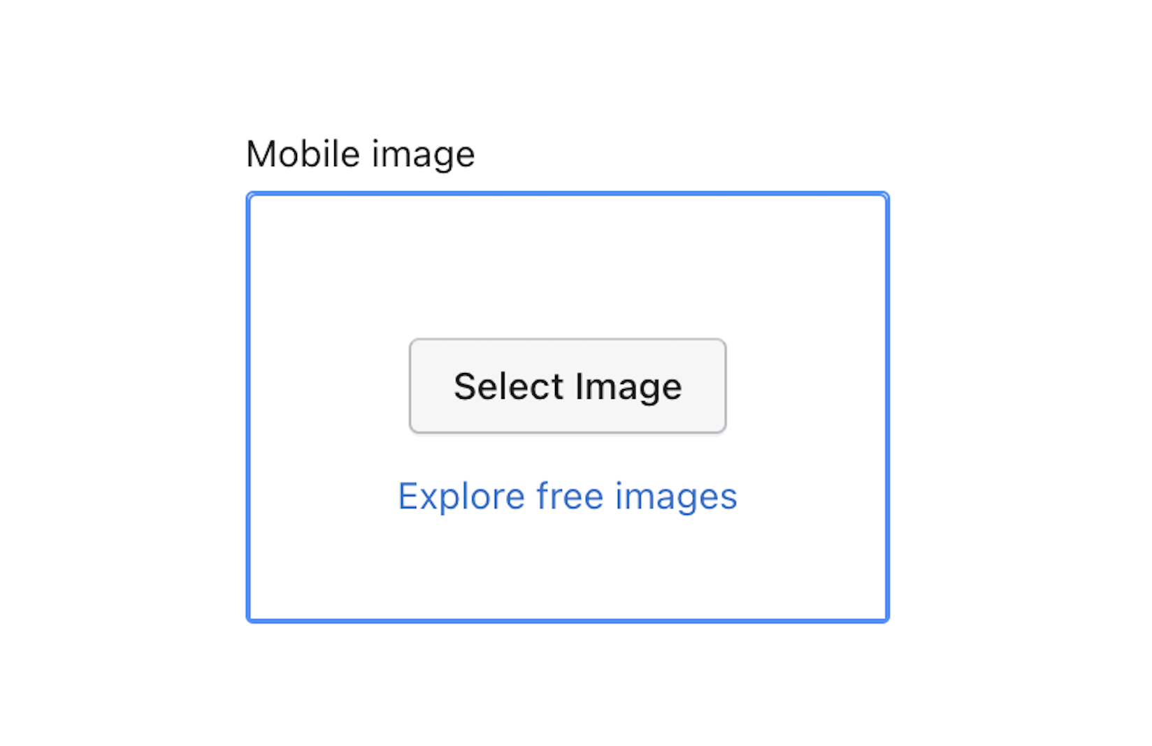 Image 8.png
