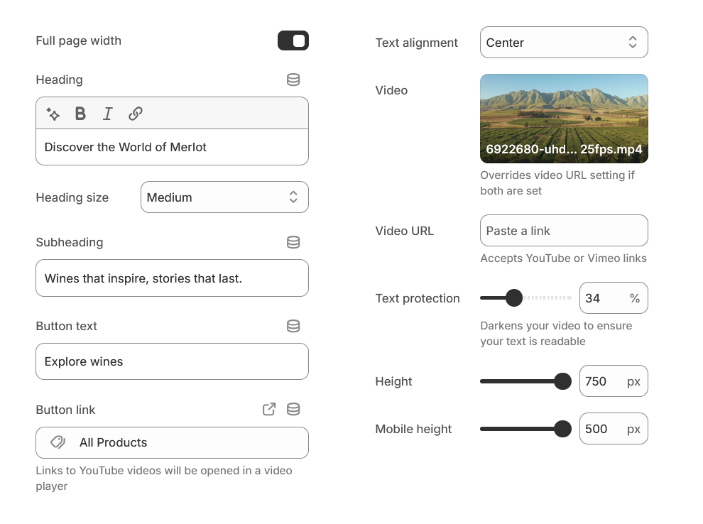 Vino Video hero section settings.PNG