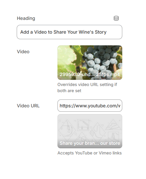 Vino Video section settings.PNG