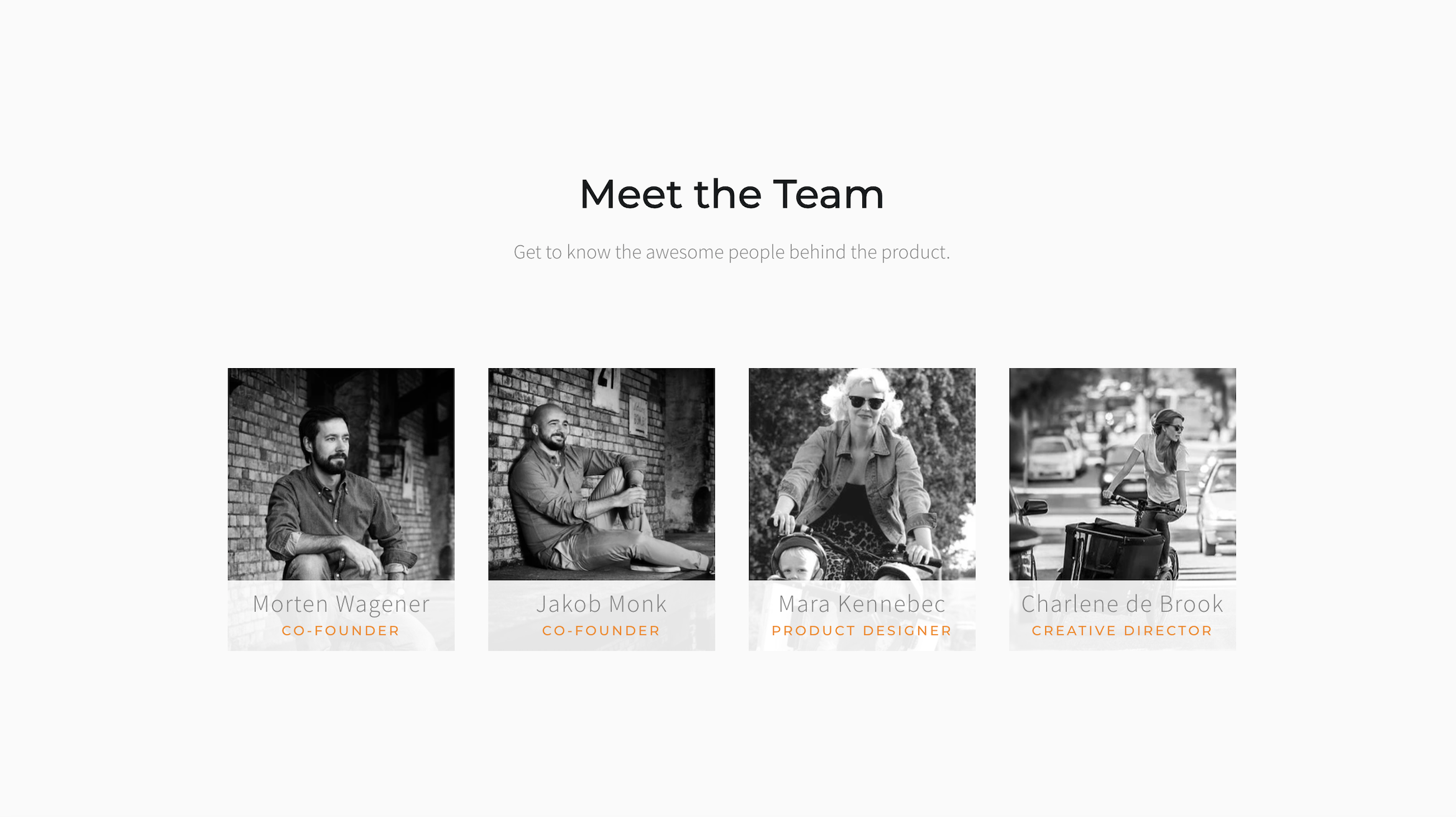 meet_the_team_page_in_launch_bold_demo_with_headings.png