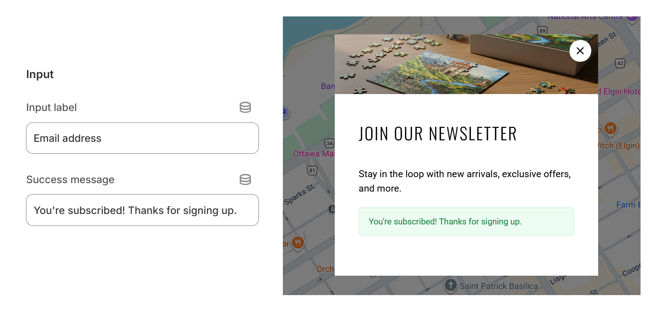 Newsletter Popup input fields 2.png